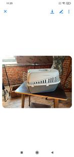 Cage de transport chat chien 5kg Impecc+ cadeau, Animaux & Accessoires, Accessoires pour chats, Enlèvement, Comme neuf