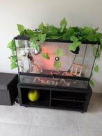 Terrarium avec meuble 90 x 45 x 60cm, Enlèvement, Utilisé, Terrarium ou Paludarium