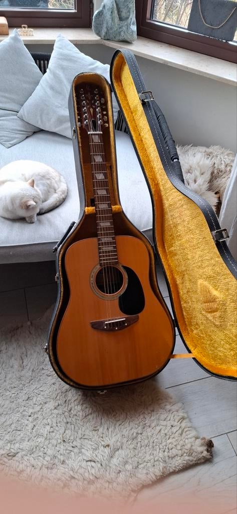 12 string akoestische gitaar., Ophalen, Met koffer
