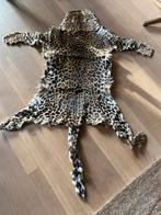 Vloer- of wandkleed echt luipaardvel - vintage, Ophalen