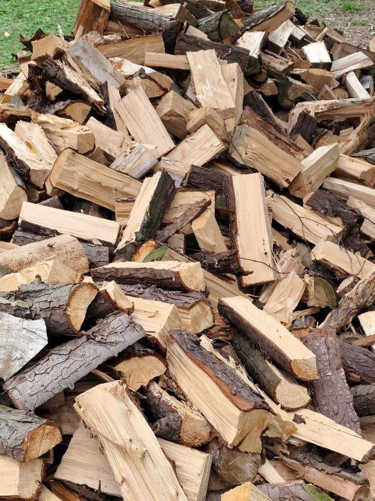 bois de chauffage, Jardin & Terrasse, Bois de chauffage, 3 à 6 m³, Enlèvement ou Envoi, Autres essences de bois, Bûches