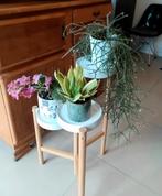 Plantenrekje, Ophalen