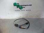 Sonde lambda d'un Citroen Berlingo, -, Utilisé, -, -