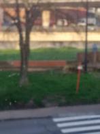 Jardinier à bas prix, Enlèvement ou Envoi