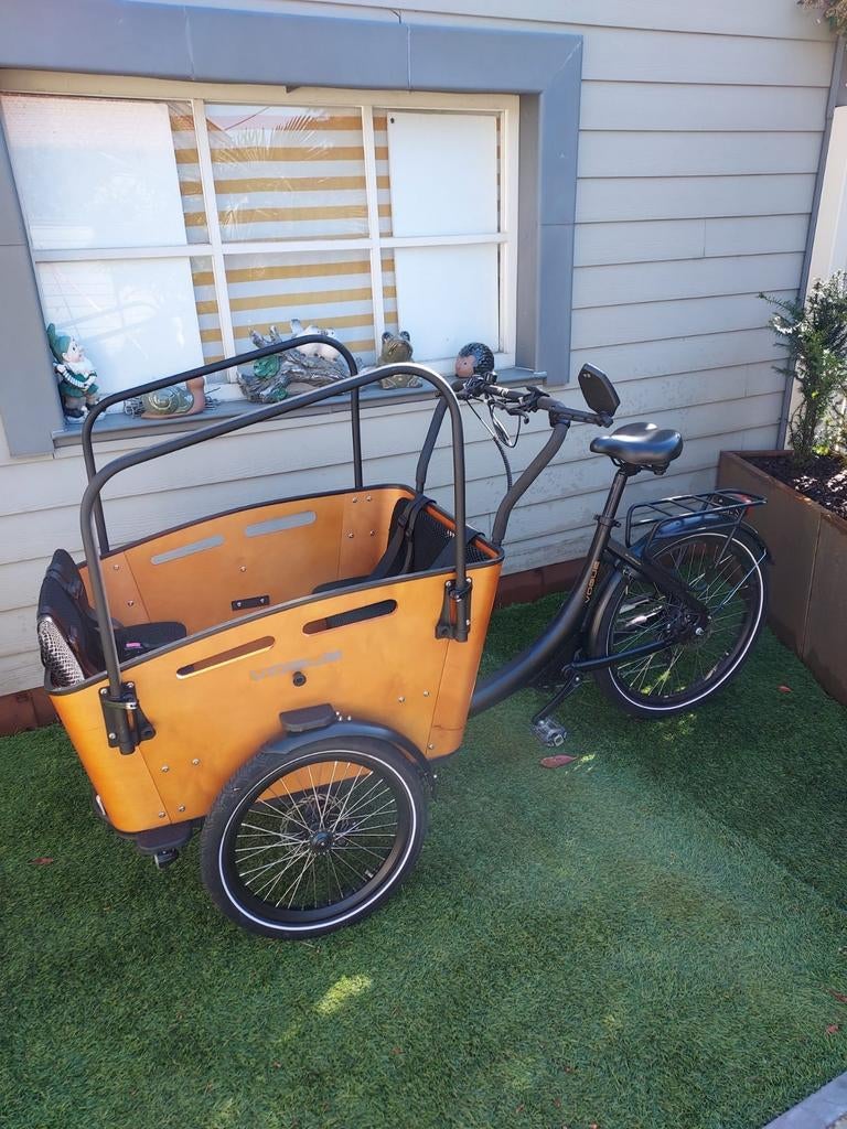 Elektrische bakfiets met regenbache, Ophalen