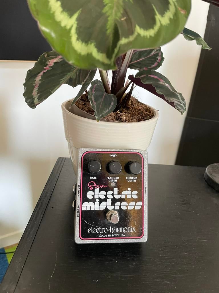 Ehx electric mistress, Enlèvement ou Envoi