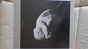 Kader 50 op 60 cm  beschikbaar voor biedingen