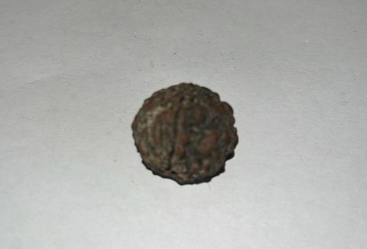 Rudraksha-zaadje ( “Rudraksha bead”) - 3gram - diameter 19mm, Verzamelen, Mineralen en Fossielen, Fossiel, Ophalen of Verzenden