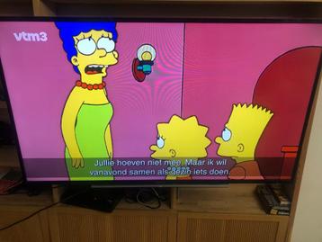 Sony Bravia 48“