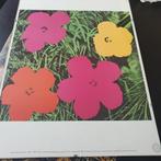 Andy warhol Flower offset litograph , estate York museum, Antiek en Kunst, Ophalen of Verzenden
