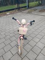 Kinderfietsje meisje, Enlèvement