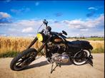 Harley sportster 1200 van 1986, Particulier