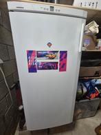 Diepvries te koop, Ophalen, Zo goed als nieuw