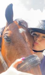 C pony ruin, Dieren en Toebehoren, Paarden, Ruin, Minder dan 160 cm, Gechipt, 11 jaar of ouder