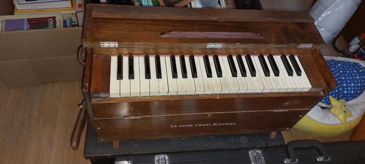 Harmonium Le guide Chant Castle, Musique & Instruments, Orgues, Harmonium, Enlèvement