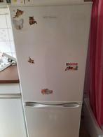 Ijskast met diepvries, Elektronische apparatuur, Koelkasten en IJskasten, Ophalen, Gebruikt, 120 tot 140 cm, 45 tot 60 cm