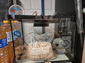 Visbokaal beschikbaar voor biedingen