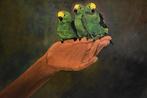 Parrot bird painting, by joky kamo 2002, Antiquités & Art, Enlèvement