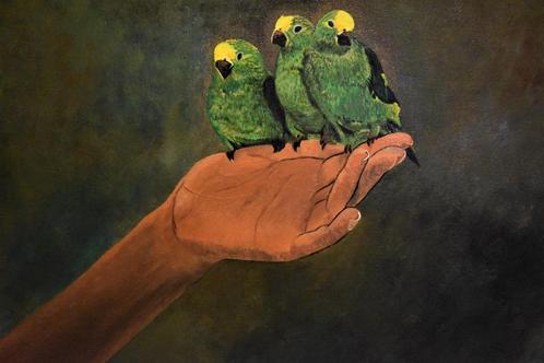 Papegaaivogel schilderij, door Joky Kamo 2002, Antiek en Kunst, Kunst | Schilderijen | Modern, Ophalen