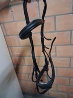 Kopstuk, Dieren en Toebehoren, Ophalen of Verzenden