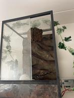 Terrarium, Dieren en Toebehoren, Ophalen