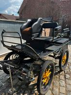 Enkel of dubbelspan koets, Dieren en Toebehoren, Gebruikt, Marathonwagen, Paard