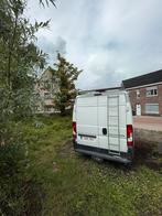 Gratis, Dieren en Toebehoren
