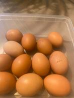 Biologische eieren, Dieren en Toebehoren, Pluimvee