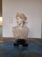 Vrouwen buste, Ophalen