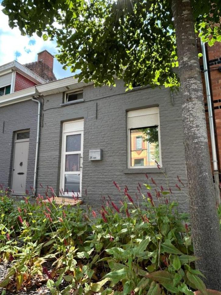 Opbrengsteigendom te koop in Ronse, Immo, Huizen en Appartementen te koop, Provincie Oost-Vlaanderen, tot 200 m², Tussenwoning