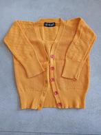 Vestje, maat 92, Ophalen, Gebruikt, Meisje, Trui of Vest