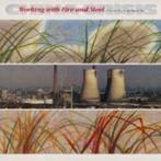 CHINA CRISIS - WORKING WITH FIRE AND STEEL, CD & DVD, Vinyles | Rock, Pop rock, Utilisé, Enlèvement ou Envoi