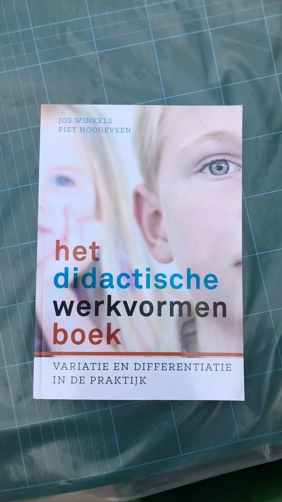 Piet Hoogeveen - Het didactische werkvormenboek, Boeken, Wetenschap, Nieuw, Ophalen of Verzenden