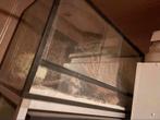 Terarium/ reptielenbak, Animaux & Accessoires, Reptiles & Amphibiens | Accessoires, Enlèvement, Utilisé, Terrarium ou Paludarium