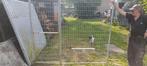 hondenkennel plus hondenhok, Dieren en Toebehoren, Hondenhokken, Ophalen, Gebruikt
