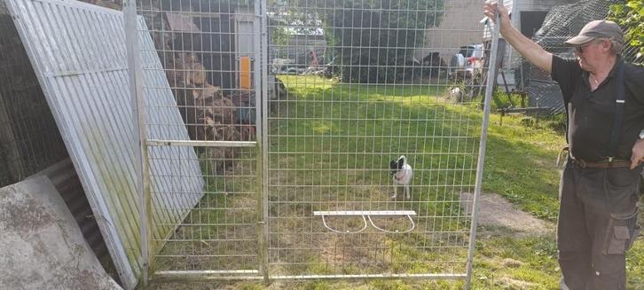 hondenkennel plus hondenhok, Dieren en Toebehoren, Hondenhokken, Gebruikt, Ophalen