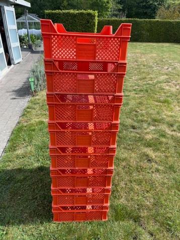 Gebruikte stapelbakken voor groenten, fruit enz.. / 8 stuks 