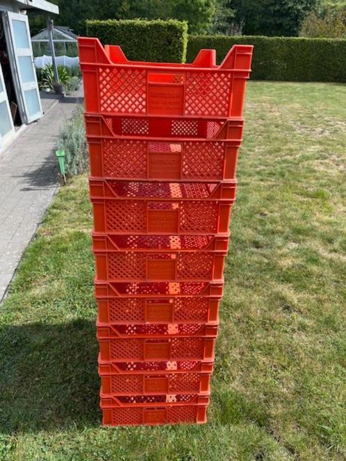 Gebruikte stapelbakken voor groenten, fruit enz.. / 8 stuks, Zakelijke goederen, Landbouw | Aardappelen, Groenten, Fruit en Vlees