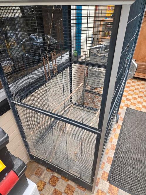 Grote volière, Dieren en Toebehoren, Vogels | Hokken en Kooien, Zo goed als nieuw, Volière, Ophalen