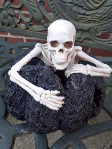 PRACHTIGE HALLOWEEN-POMPOEN VAN POLYRESIN  beschikbaar voor biedingen