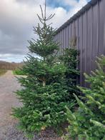 Kerstbomen: Nordman,  blauwspar en fijnspar, Ophalen, Nieuw