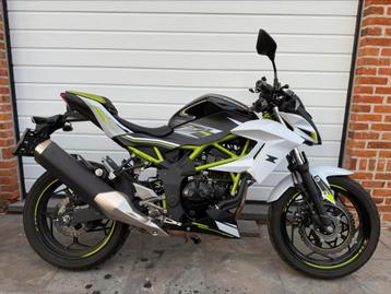 Kawasaki z125 | 2019 | 8150km | ONDERHOUD ✅ beschikbaar voor biedingen