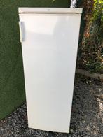 Scan Cool Diepvries 6 Laden A+, Zo goed als nieuw, Energieklasse A of zuiniger, 140 tot 160 cm, Ophalen
