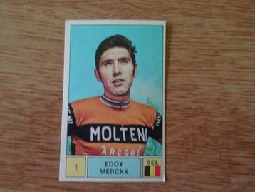 Foto Panini - Sprint 71 - Eddy Merckx beschikbaar voor biedingen