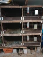 Enclos pour lapins ou cobayes, Animaux & Accessoires, Rongeurs & Lapins | Cages & Clapiers, Comme neuf, Enlèvement ou Envoi, Cobaye