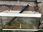 Aquarium/terrarium juwel rio 101x41x50 + gratis accessoires, Dieren en Toebehoren, Vissen | Aquaria en Toebehoren, Ophalen, Gebruikt