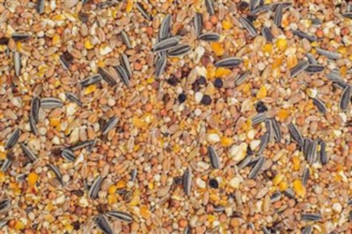 Strooibuffet 20kg, Dieren en Toebehoren, Vogels | Overige Vogels