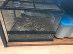 Terrarium 60 x 45 x 47, Dieren en Toebehoren, Reptielen en Amfibieën | Toebehoren, Ophalen, Gebruikt
