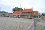Stalling te huur, Weidegang, 1 paard of pony