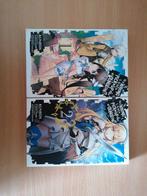 Is it wrong to try to pick up girls in a dungeon? Manga, Livres, Comme neuf, Enlèvement ou Envoi